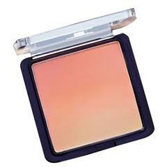 Fiji Paradise All Over Face Powder 8g