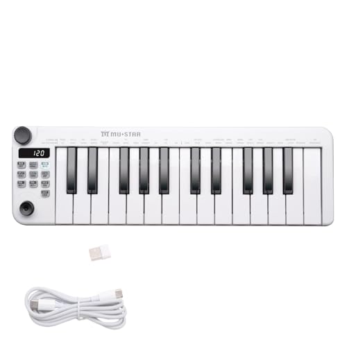 Mini MIDI Keyboard, 25 Key MIDI Controller for Beginner with Dual-Channel Keyboard, Knob, Joystick...