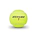 Dunlop Sports ATP Championship Regular Duty Tennis Balls - Case of 24 cans (72 Balls)