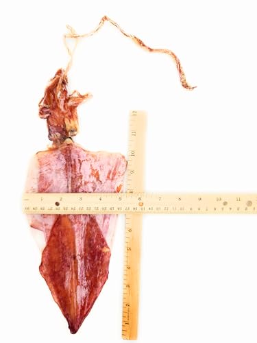 SaCa Food Dried Squid, Size Medium, 160g (5.64 oz)