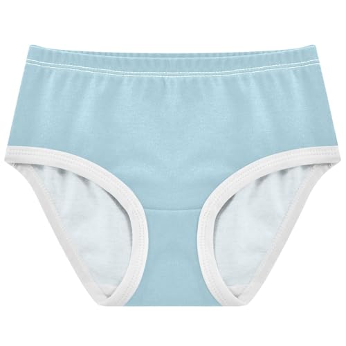 Joisal Light Blue Girl Panties Cute Girls Underwear Toddler Cotton Personalized Underpants Briefs 2t