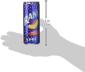 Rani Float Pulp Juice, Peach, 240 ML (Pack - 24)