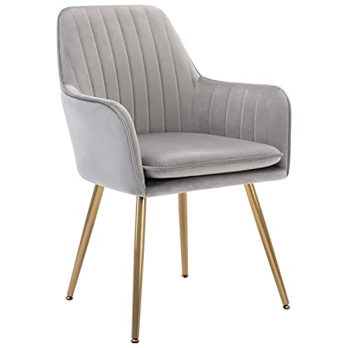 Gold Thumb Velvet Dinning Chair Set Of 2 Mid-Back Accent Chair Modern Leisure Armchair With Gold Plating Legs Upholstered Living Room Chair (Silver Gray-2Pcs) #TOP7