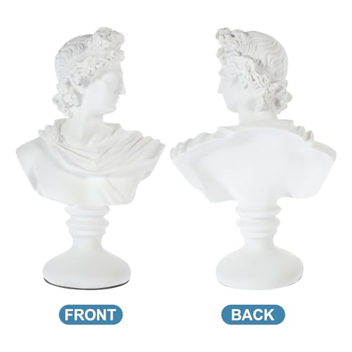 Busto europeo de yeso para decoración de escritorio en sala u oficina 4