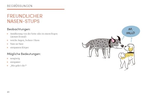 Das kleine Buch der Hundesprache: Was dir dein Freund auf vier Pfoten sagen will