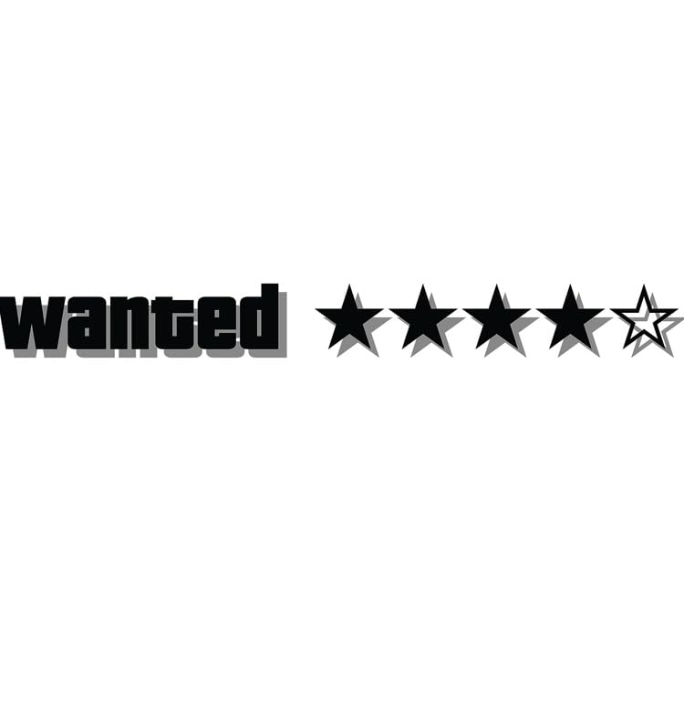GTA Wanted 5 Stars LED Car Glow Panel Light for Car GTA : Amazon