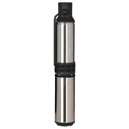 Red Lion RL12G10-3W2V 4-inch Submersible Deep Well Pump with Control