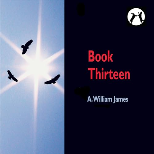 『Book Thirteen』のカバーアート