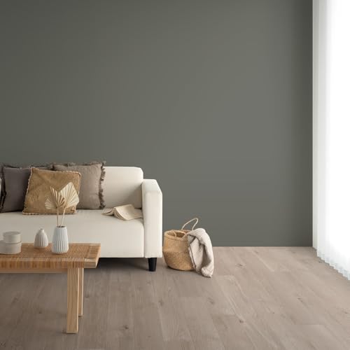 ǎ{ ̂t ǎ c̏ NX n Y25-2940 AG OCbVO[  92cm×mPʁy󒍐YiLZsz