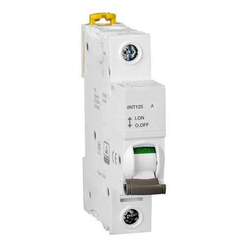Disjoncteur d'isolement iINT125 1P 125A pour tableau électrique