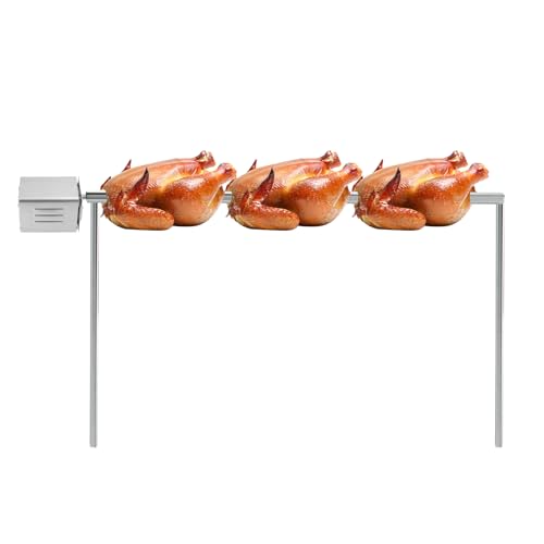 High-Performance Electric BBQ Rotisserie Motor, 15W Stainless Steel Roaster for Uniformly Cooked Meat Skewers, Ideal for Barbecue Parties & Outdoor Cooking (110-120V)