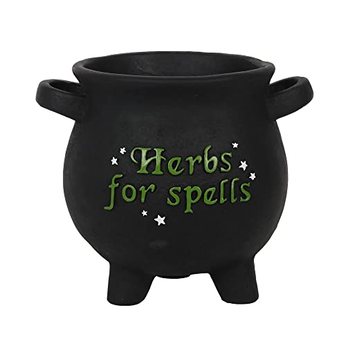 Pacific Giftware Terracotta “Herbs for Spells” Cauldron Indoor Garden Planter, Matte Black 7” Tall