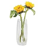 Emballage sûr et stable: chaque vase est soigneusement emballé avec un film de coussin d'air et un matériau en mousse épais, et est protégé par plusieurs couches de boîtes pour assurer un transport sûr et parfait et sans dommage.