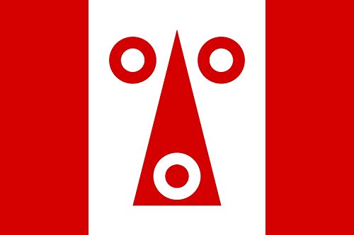 Drapeau large Planá Tachov grand format pour mât extérieur - 2