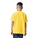 Gildan Youth Heavy Cotton T-Shirt, Style G5000B, 2-Pack, Daisy, Large