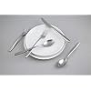 Cambridge Silversmiths Averie Satin 20 Piece Flatware Set, Service for 4, silver