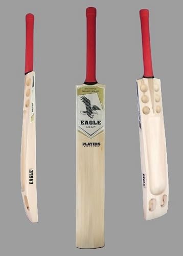 Image of Eagle Leap Premium VIII Kashmir Willow Double Blade Scoop Cricket Bat for Hard Tennis Ball