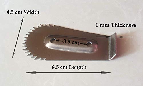 Gitachi Coconut Hand Scraper Stainless Steel Blade #TOP3
