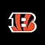 Cincinnati Bengals Cincinnati Bengals