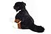 Teddy Hermann 92871 Hund Berner Sennenhund 29cm, Kuscheltier mit idealem Recyclinganteil (Füllmaterial)