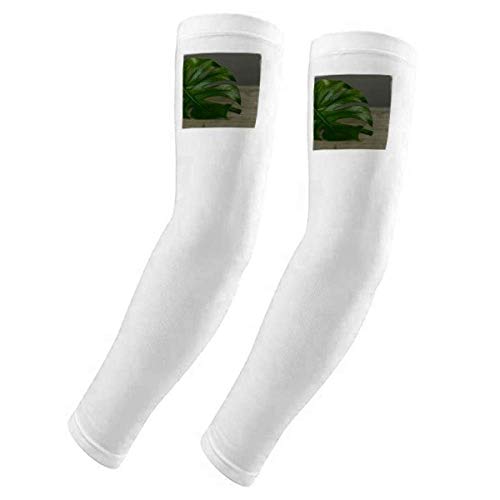 Housse de protection anti-UV pour tableau de table plantes DIYthinker