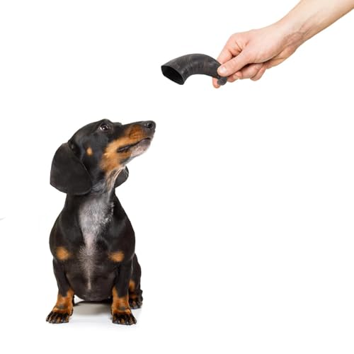 Pack of 2 Buffalo Horn Treat - Pet Dog Puppy Natural Snack Chew High Protein Reward For Good Behaviour - Promotes Dental Hygiene Supports Healthy Teeth & Gums Teething - Image 5