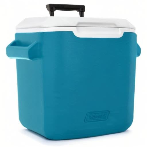 La mejor comparación de Hielera disponible en línea. 17 La mejor comparación de Hielera disponible en línea. 13