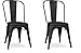 Fleda TRADING Chaise en métal de Style Industriel-Chic Package DE 2 Pieces Tolix Design Mat Noir