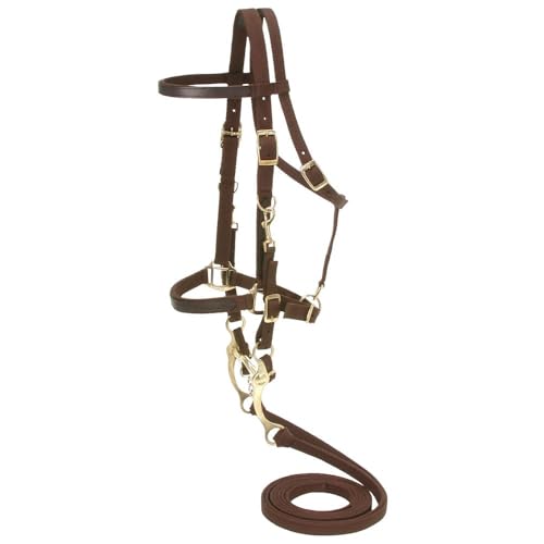 Tough 1 Australian Outrider Collection Nylon Bridle/Halter, Brown