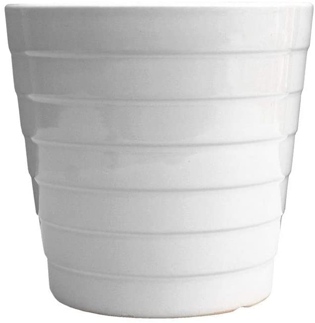 Maceta de cerámica blanca con relieve que protege las raíces de tus suculentas