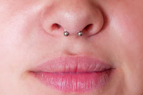 D.bella 14G Variety Of Sizes Horseshoe Rings Surgical Steel Nose Septum Horseshoe Hoop Earring Eyebrow Tragus Lip Rings Daith Helix Piercing Jewelry For Women Men #TOP4
