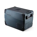 Dometic