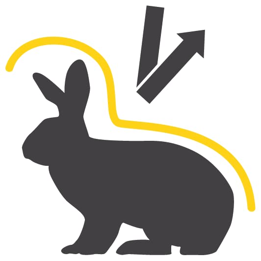 deukavia Carangas 20 kg | Meerschweinchenfutter | Basisfutter für Meerschweinchen mit dem Extra an Vitamin C | Alleinfuttermittel Meerschweinchen