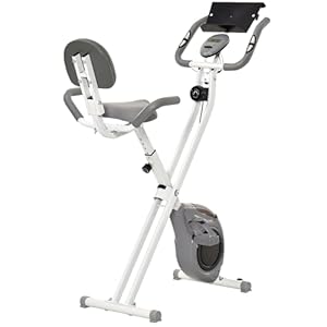 Soozier Folding Exercise Bike with 8-Level Magnetic Resistance, Indoor Stationary Bike for Cardio Workout, Adjustable Seat and LCD Monitor, Grey