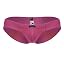 Fuchsia_style_91233