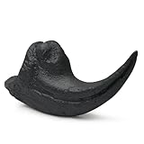 Zoom IMG-2 lkylvee raptor artiglio fossile replica