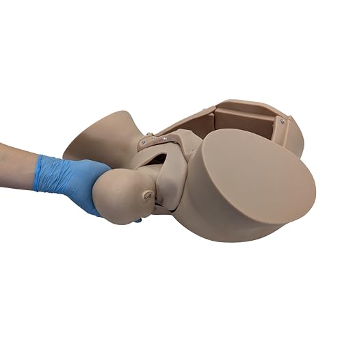 Anatomy Lab Obstetric Manikin