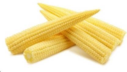 Green World HYBRID BABY CORN/BHUTTA SEEDS FOR KITCHEN GARDENING (100 SEEDS) (B09KCCFXBQ) Amazon Price History, Amazon Price Tracker