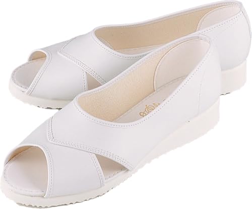 [}Ak] i[XV[Y M[V[Y No.6  25.0 cm 3E