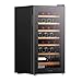 HYE Wine Cooler – Wine Fridge With 28-Bottle Storage Capacity, Modern Freestanding Design, Digital Controls, Quiet 40 dB Operation, Black, Perfect For Homes Bars & Collections - RF01WC28B31