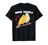 mère d'oiseau droite. Cela ne devrait pas manquer chez aucun éleveur et est un must comme accessoire pour les canaris