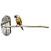 Birds LOVE Small Bottlebrush Cage Perch