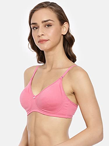 Image of Women Bra