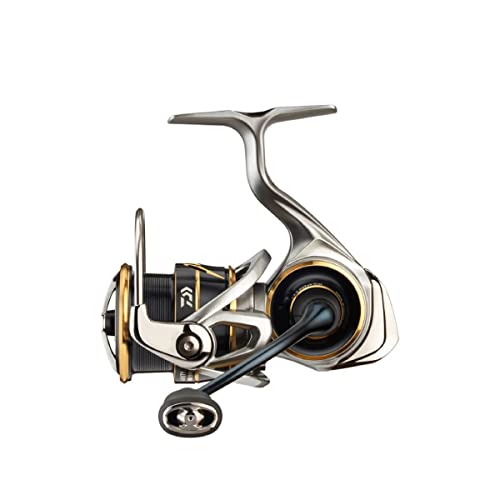 Daiwa 20 Airity LT évitez les perruques avec ce moulinet spinning fiable