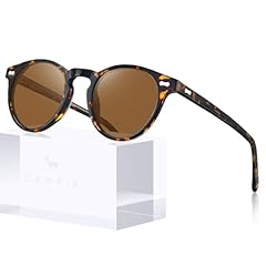 9.tortoise Frame Brown Lens