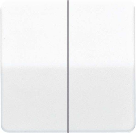 JUNGCD595BF Rocker for Series Switches