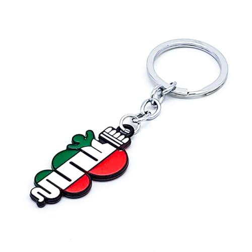 AULPEE Alloyed Car Keychain for Car 3D Metal Key Chain Gifts for Women and Men Keyring Universal Size