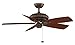 Fanimation FP4320TS1-220 Belleria 220-volt, Tortoise Shell, Motor Only