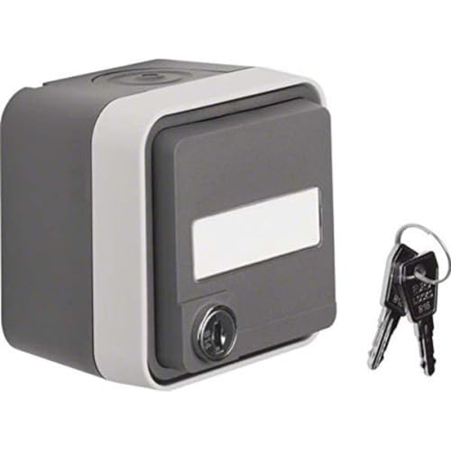 Berker SCHUKO-Steckdose prise de courant gris clair 47393505 encastrable