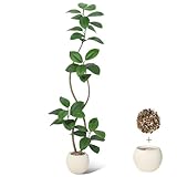 Garvee 180 cm Künstliche Pflanze Gummibaum mit Cremefarben Kugel Topf Pflanzer&Stein Fiddle Feigenbaum Indoor Künstlicher Baum hohe Pflanze gefälschte Baum Tropische große Boden Baum